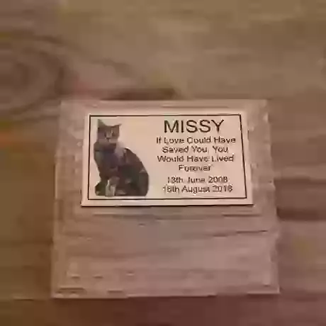  Photo Of Your Cat on Oak Casket